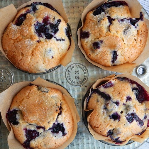 Blueberry Muffins